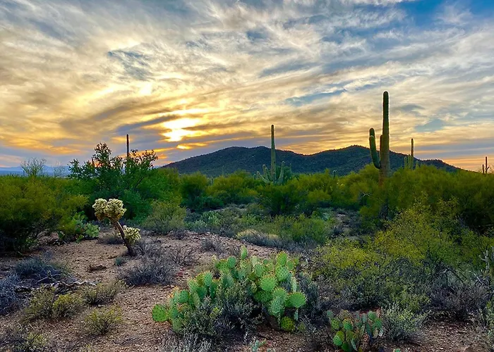 Hawthorne Manor - 3bd In With Patio * Tucson